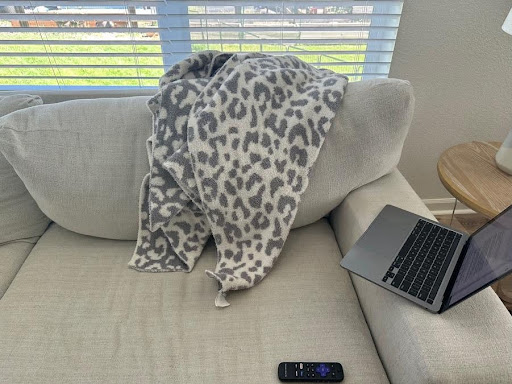 A light gray couch with a cheetah print blanket draped over the backrest. A black laptop and a remote control are placed on the right side of the couch. The sunlight streams through the window blinds in the background, illuminating the scene.